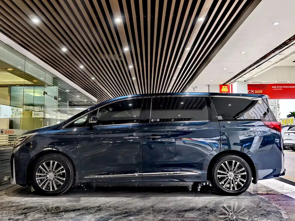 GAC Motor Trumpchi M8 2021 — фото 19