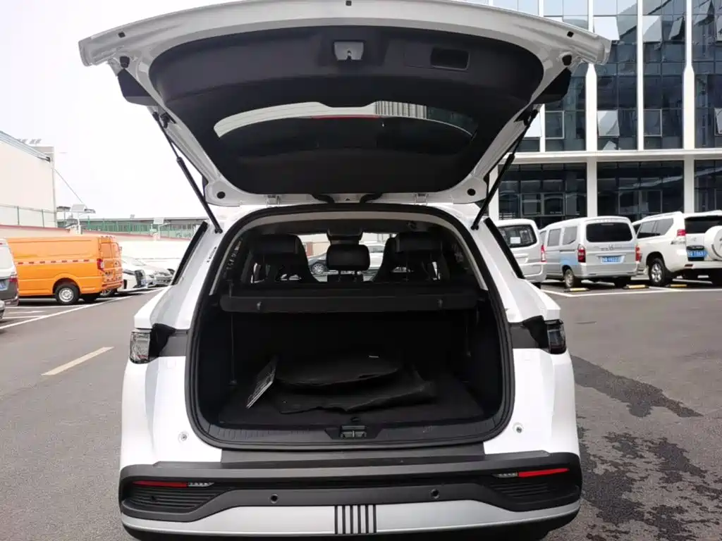 BYD Sealion 05 DM-i 2025 — фото 19
