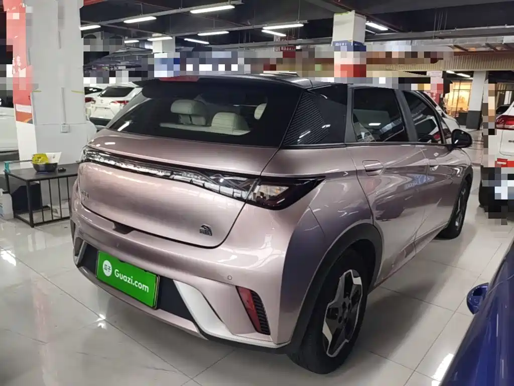 BYD Dolphin 2021