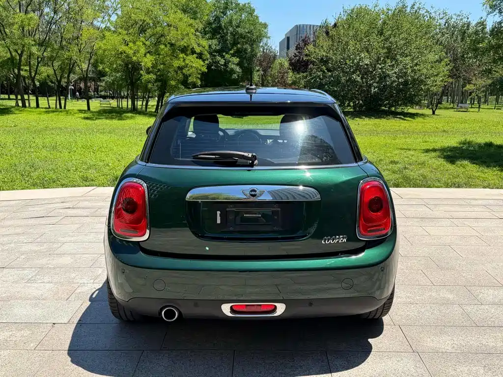 MINI MINI 2017
