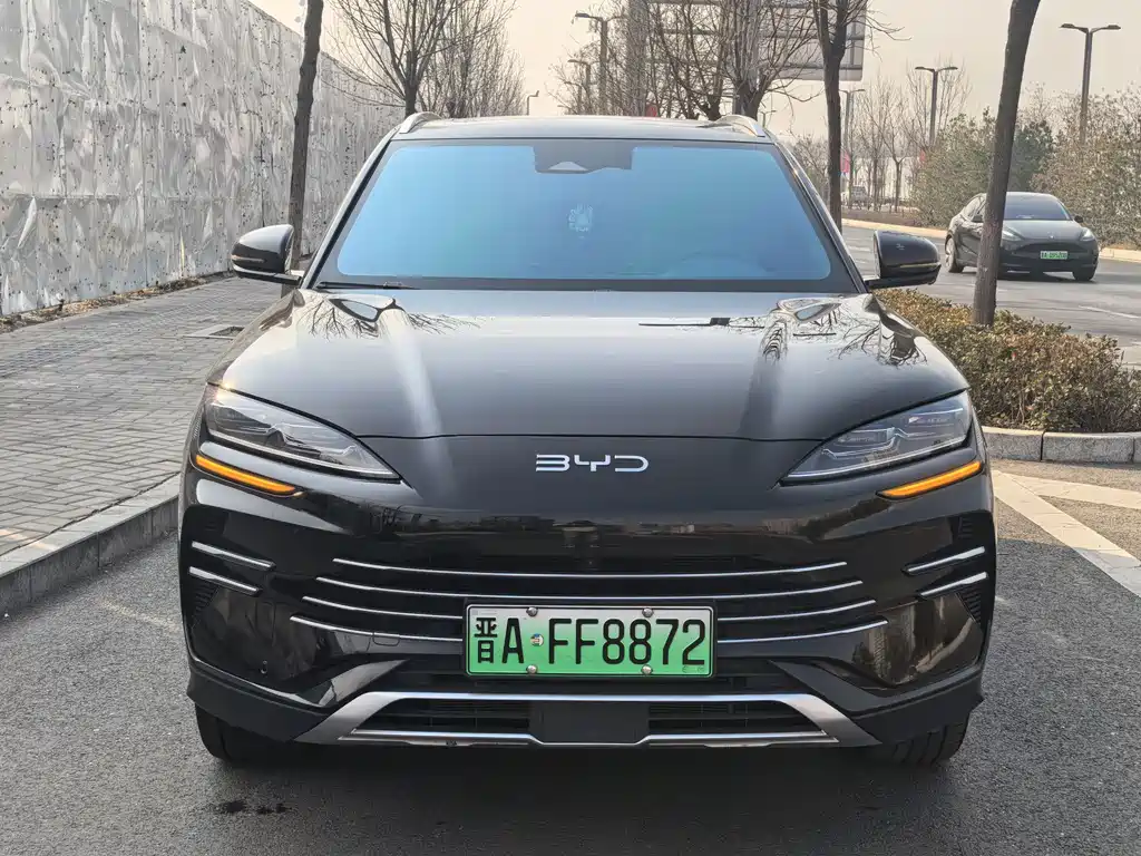 BYD PLUS New Energy 2025 — фото 2