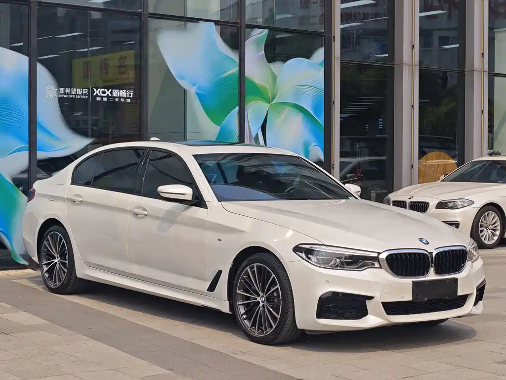 BMW 5 Series 2019