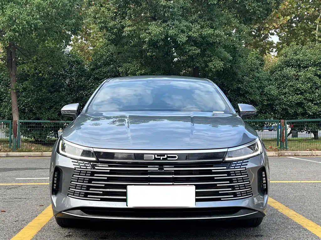 BYD Destroyer 05 2024 — фото 1