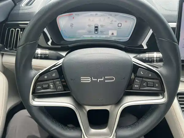 BYD Song PLUS New Energy 2024