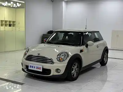 MINI MINI 2013