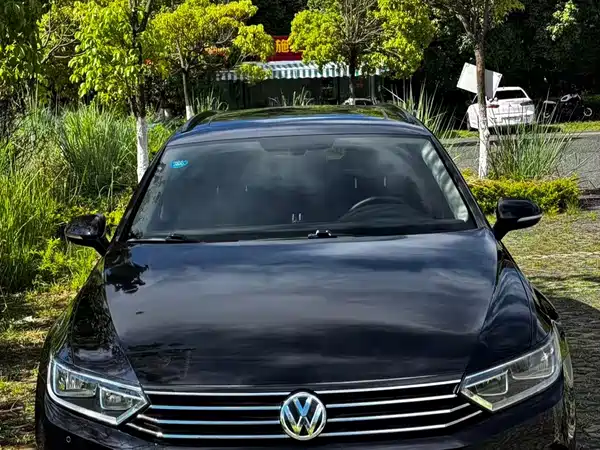 Volkswagen Viloran 2018