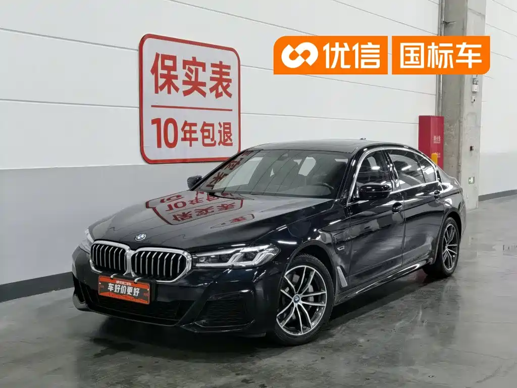 BMW 5 Series New Energy 2022