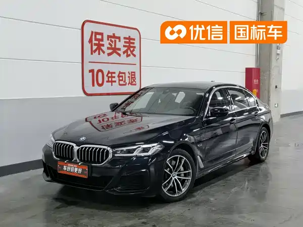 BMW 5 Series New Energy 2022
