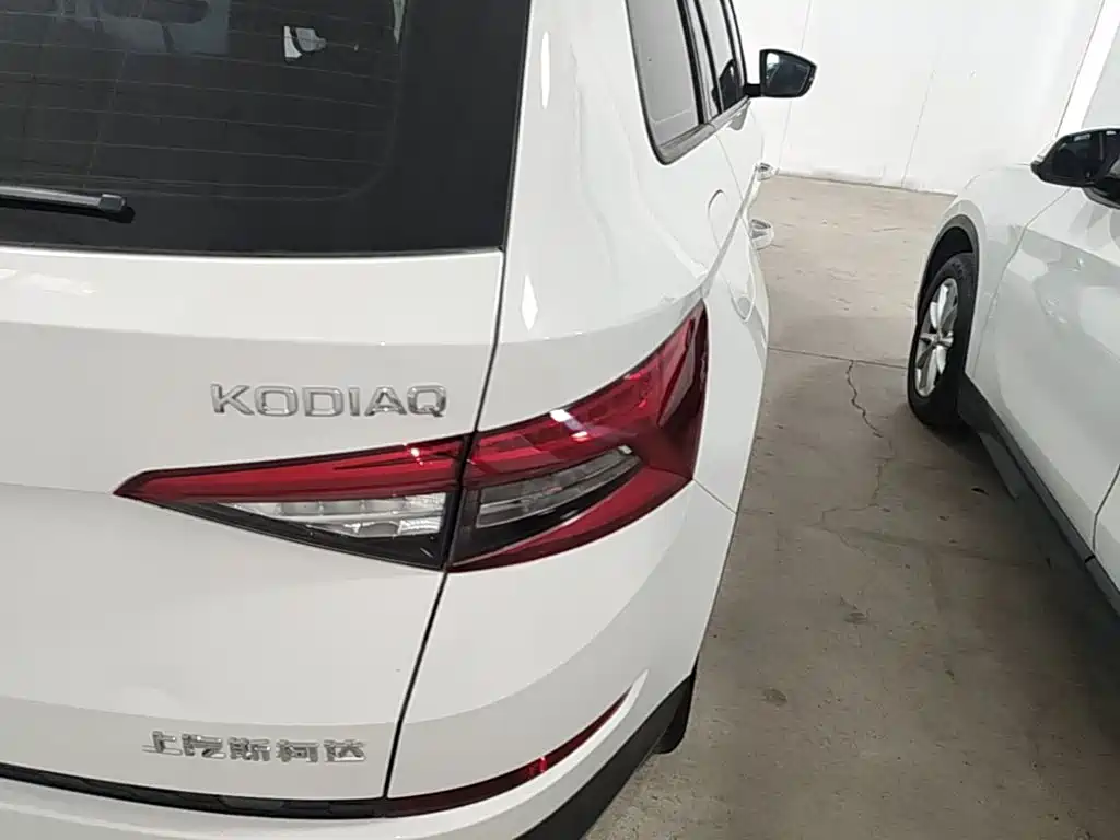 Skoda Kodiaq 2017 — фото 8