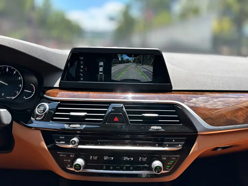BMW 5 Series 2017 — фото 19