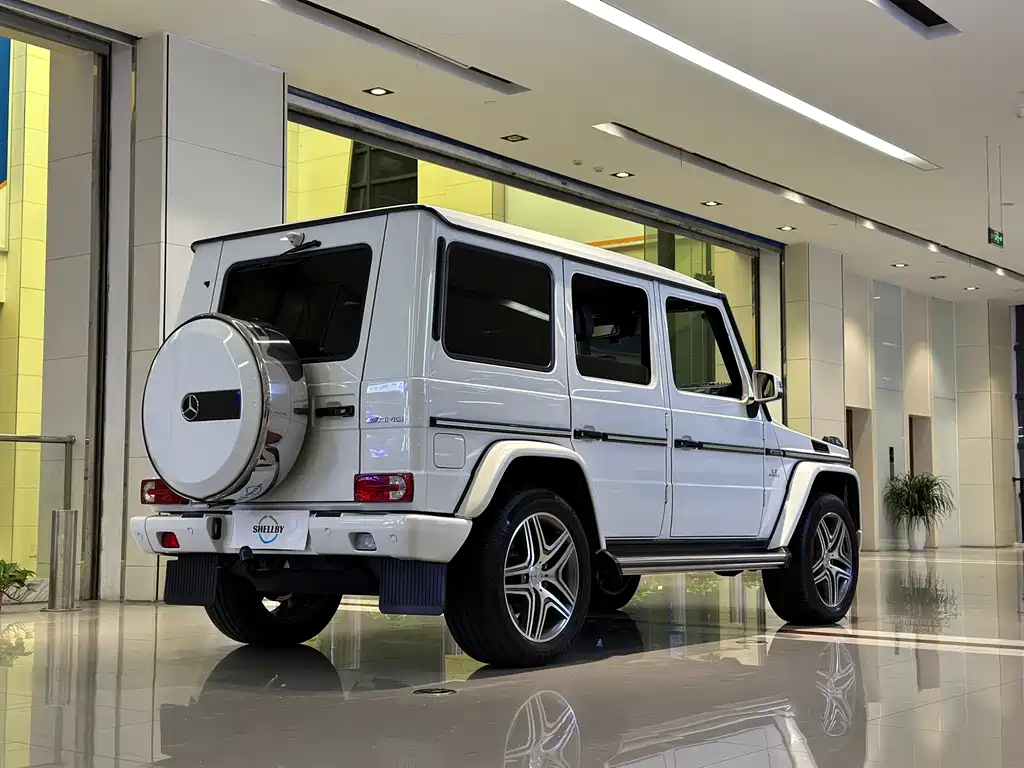 Mercedes-Benz G-Class AMG 2014 — фото 19