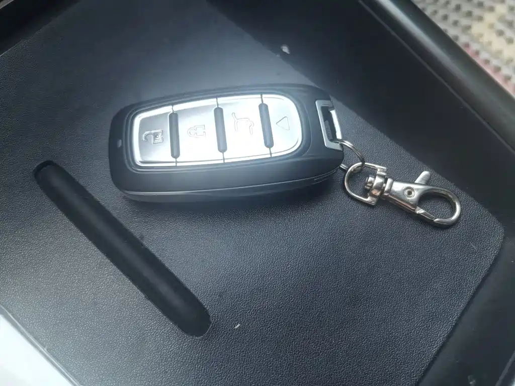 BYD Song Pro New Energy 2024 — фото 12