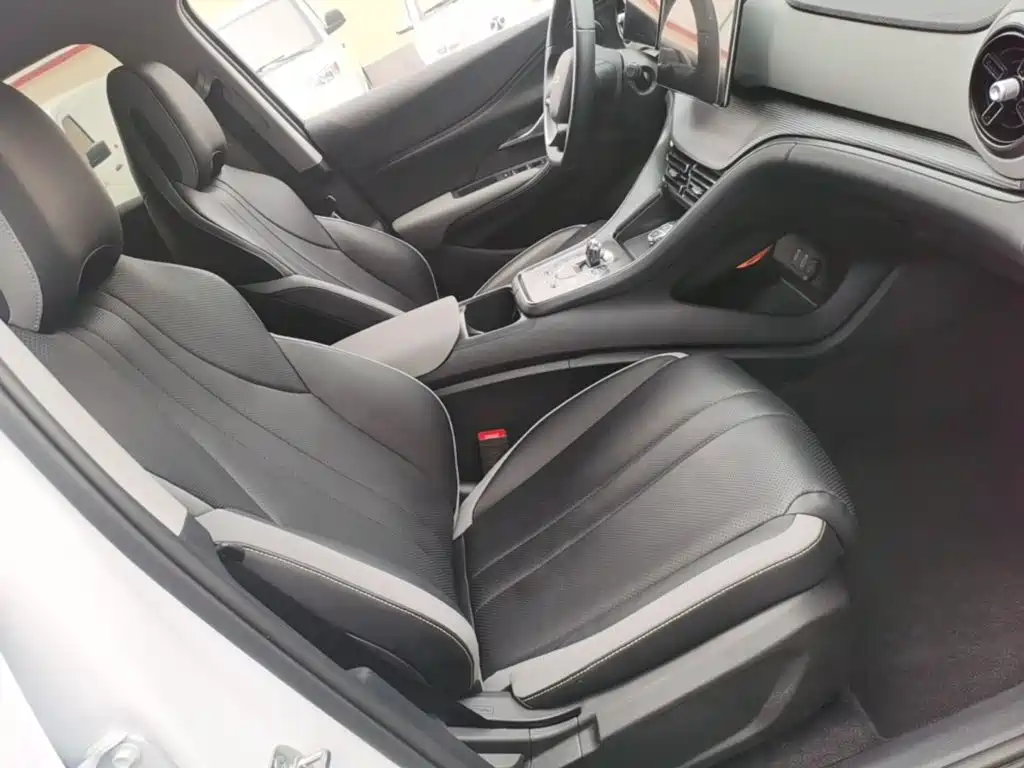 BYD Sealion 05 DM-i 2025 — фото 25