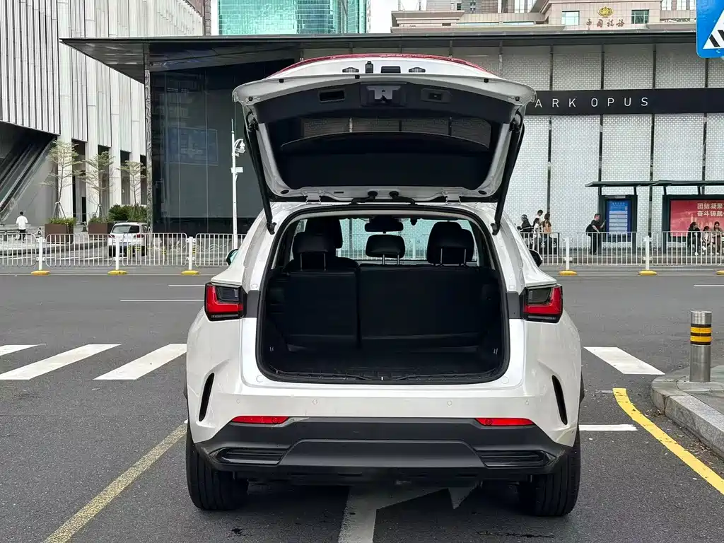 Lexus NX 2024 — фото 16