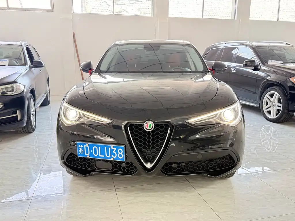 Alfa Romeo Stelvio 2019 — фото 2