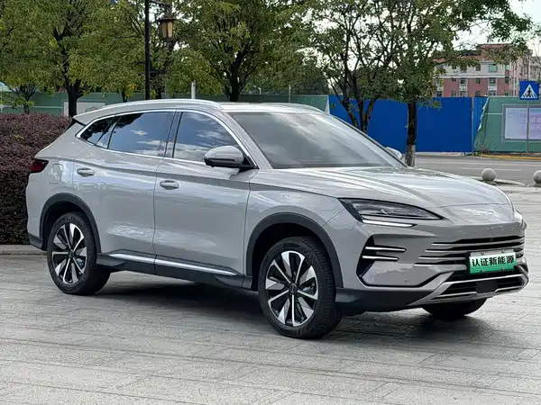 BYD Song PLUS New Energy 2024