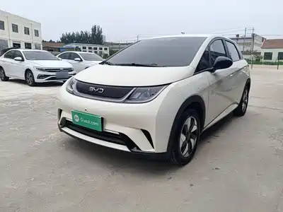 BYD Dolphin 2025