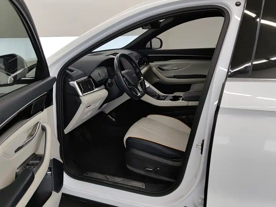 BYD Song PLUS New Energy 2024 — фото 9