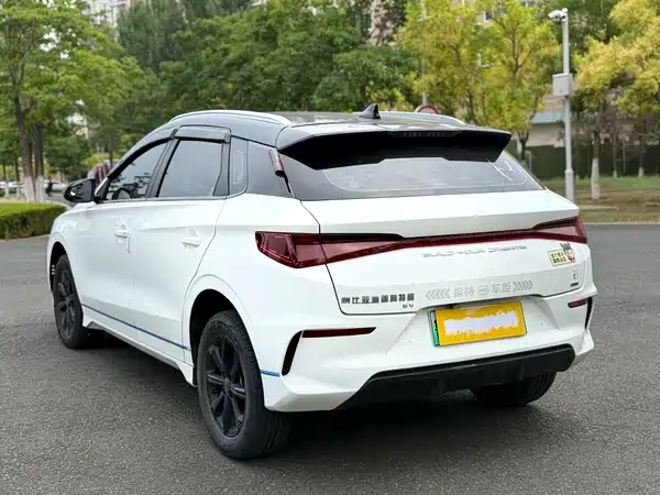 BYD e2 2022