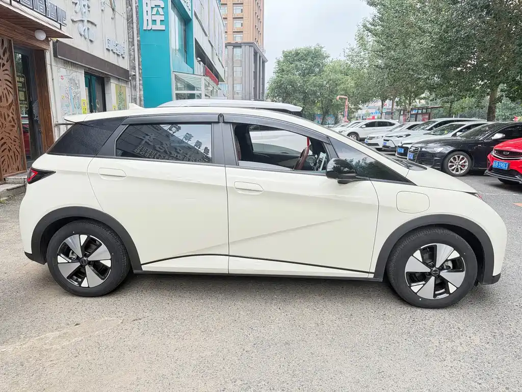 BYD Dolphin 2023