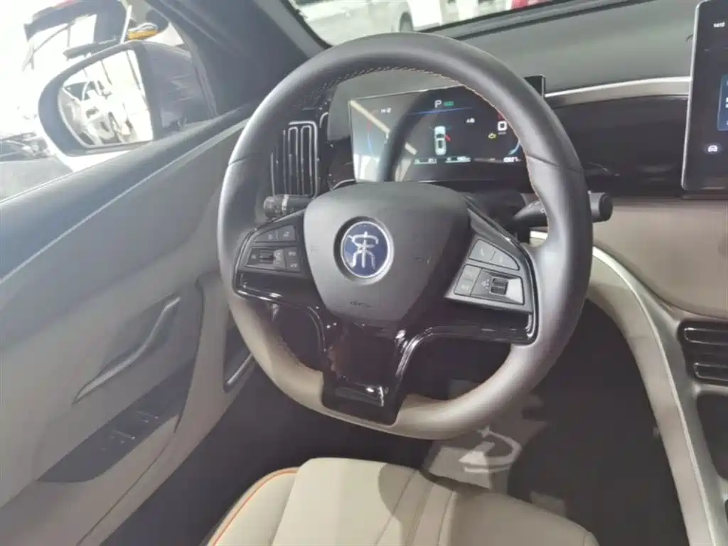 BYD Pro New Energy 2025 — фото 11