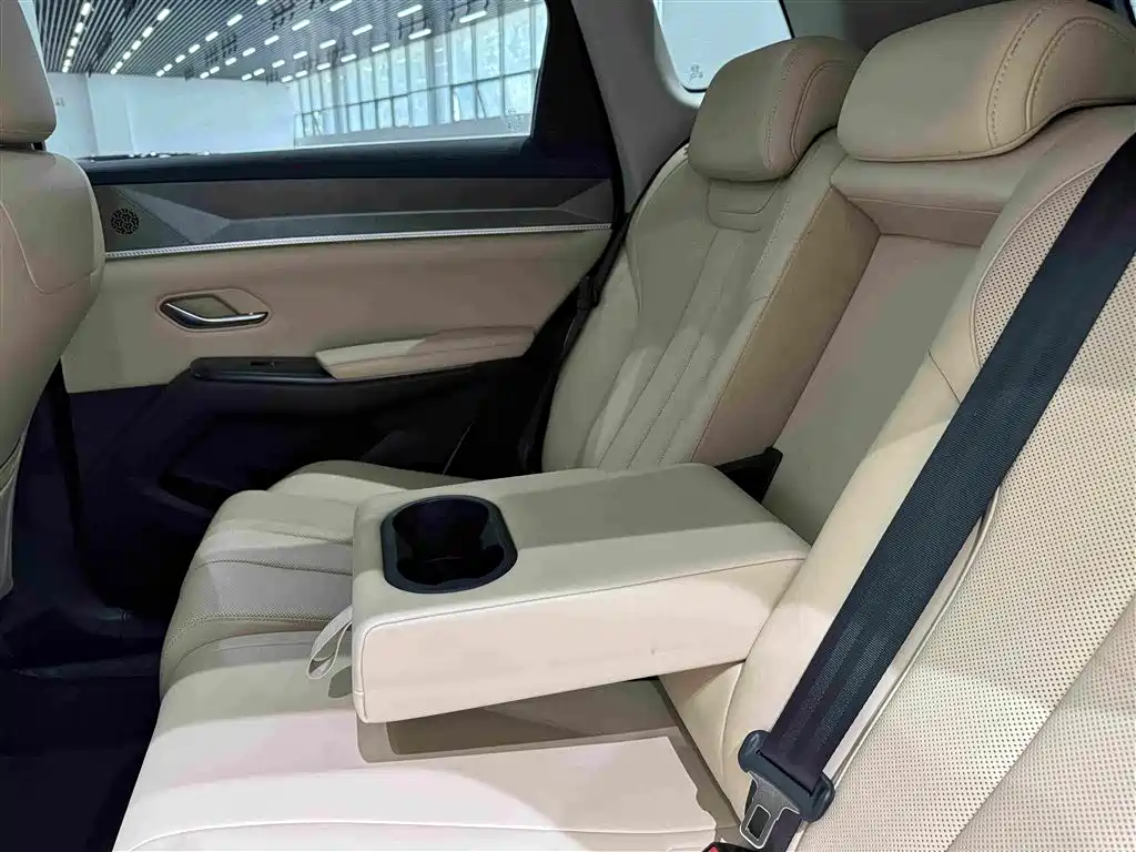 BYD Song Pro New Energy 2025 — фото 22
