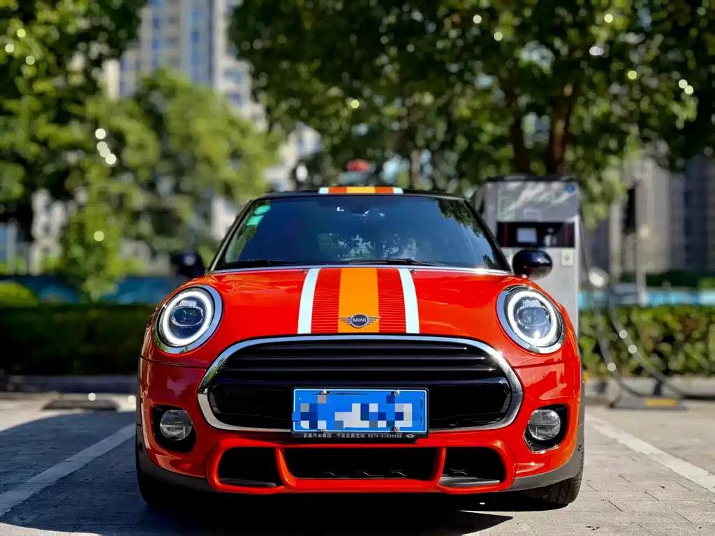 MINI MINI 2019