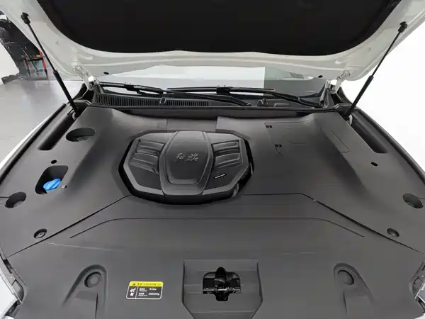 Hongqi HS5 2020