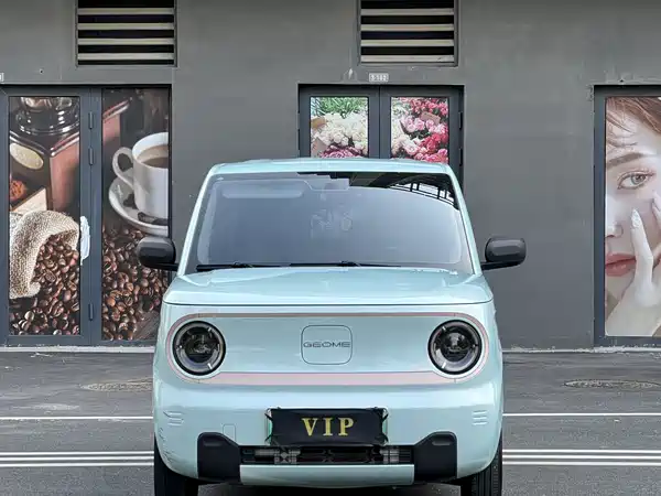 Geely Galaxy Panda 2024