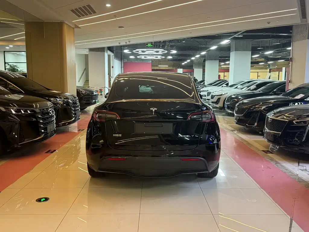 Tesla Model Y 2021 — фото 15