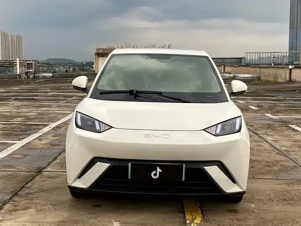 BYD Seagull 2024