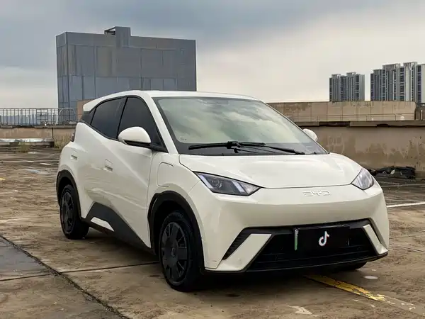 BYD Seagull 2024