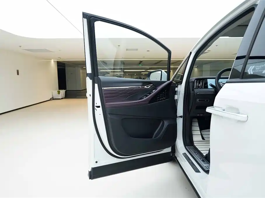 GAC Motor Trumpchi M8 2024 — фото 17