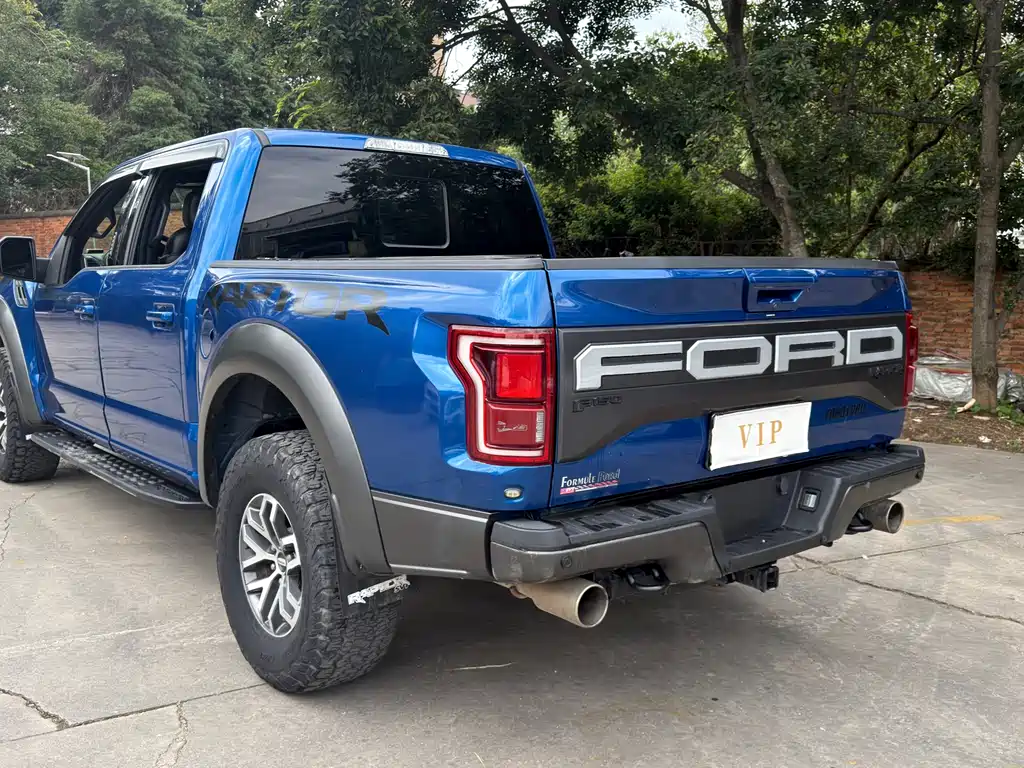 Ford F-150 Raptor 2017 — фото 11