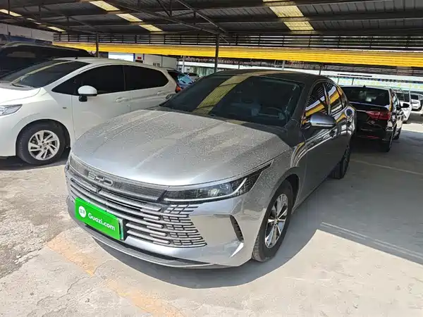 BYD Destroyer 05 2024