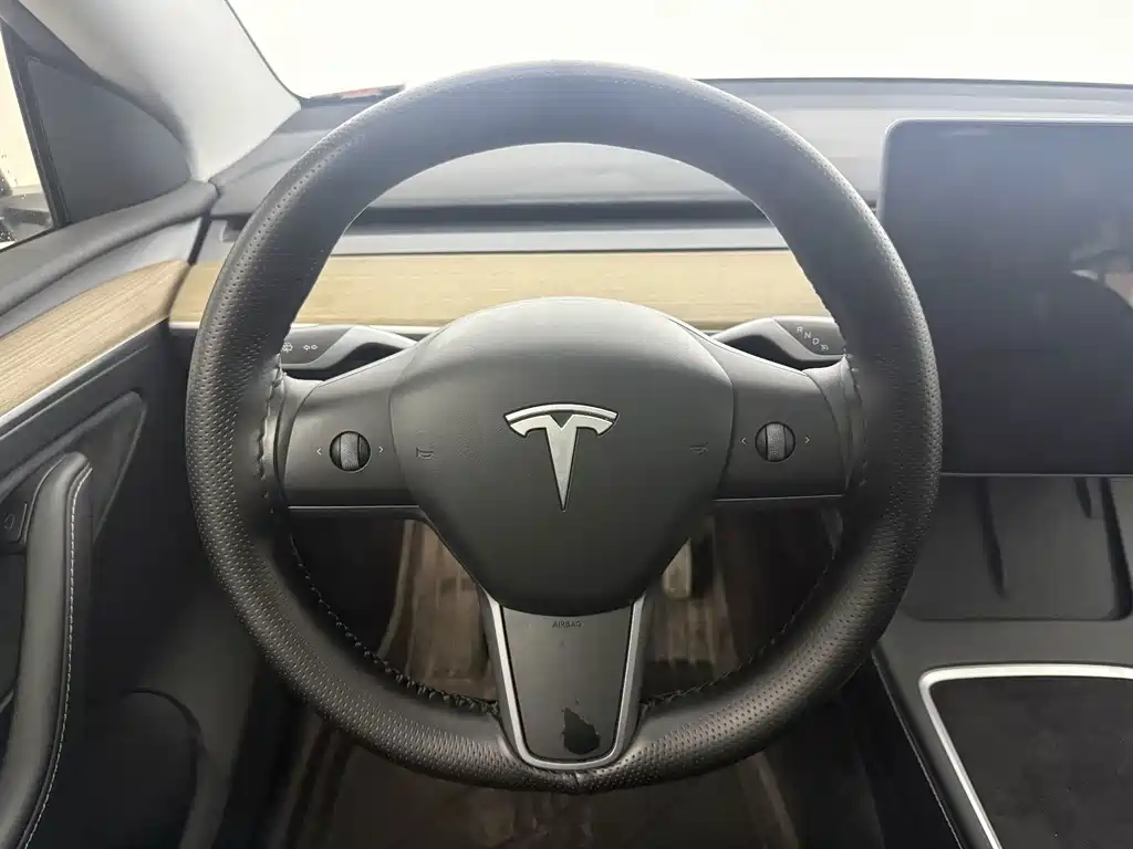 Tesla Model Y 2023 — фото 6