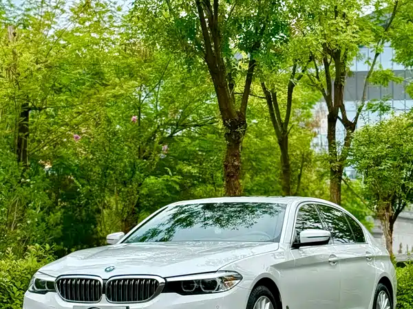 BMW 5 Series 2020