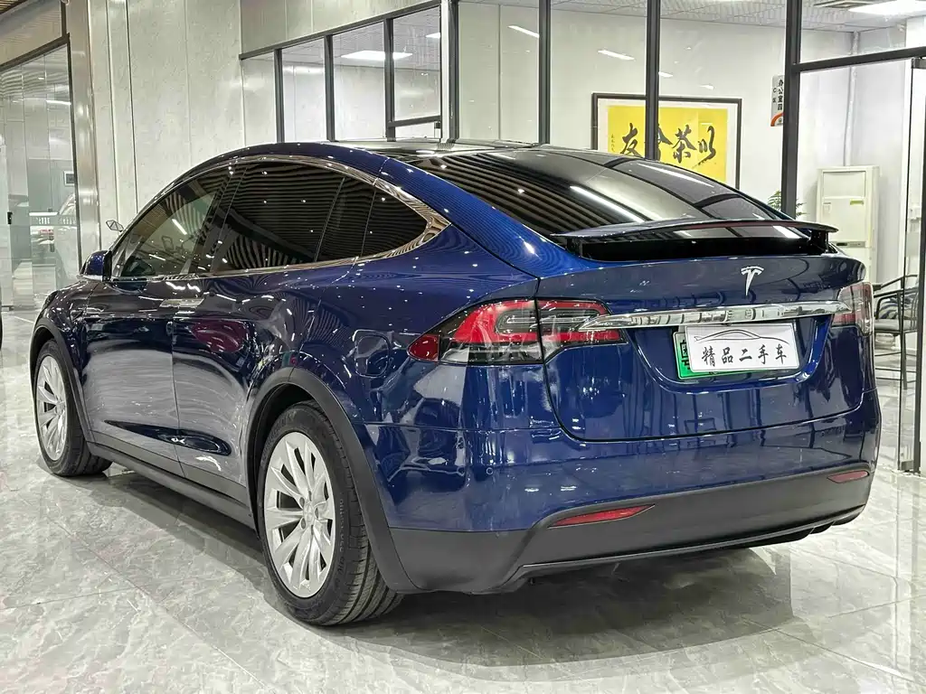 Tesla Model X 2019 — фото 6