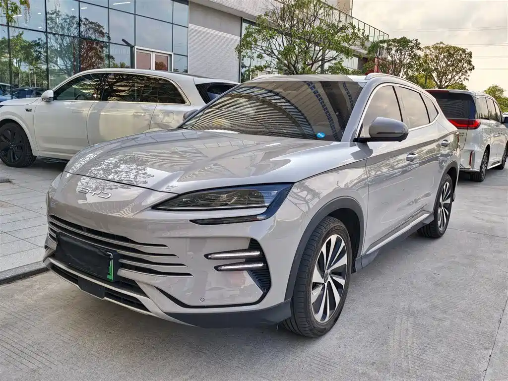 BYD PLUS New Energy 2024