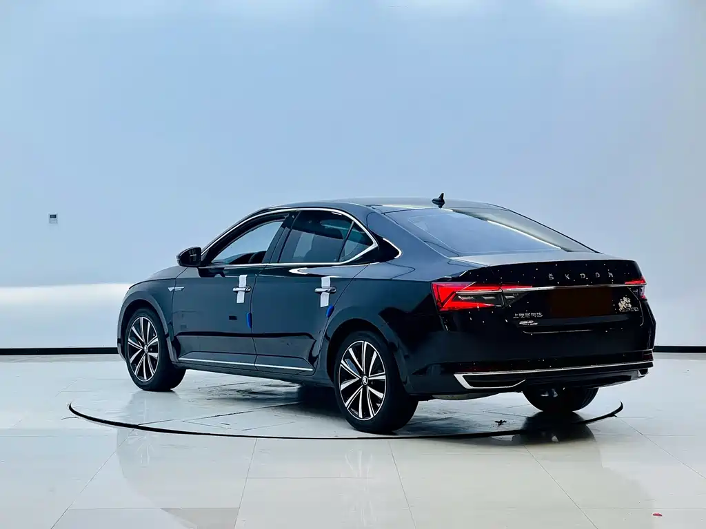 Skoda Speedy 2024