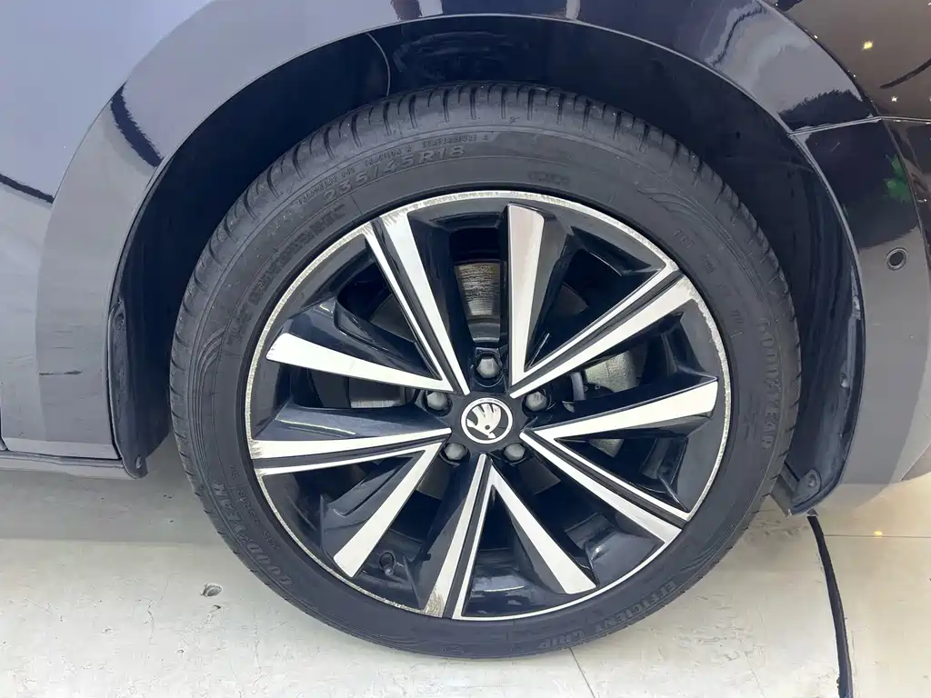 Skoda Speedy 2024 — фото 24
