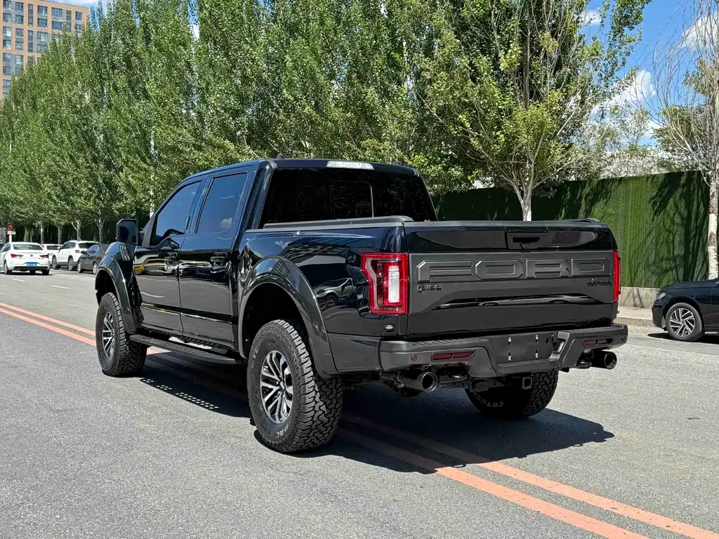 Ford F-150 Raptor 2019 — фото 19