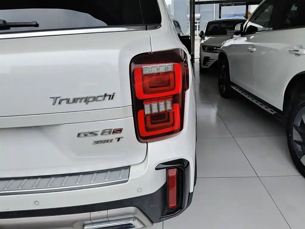 GAC Motor Trumpchi GS8 2020 — фото 8