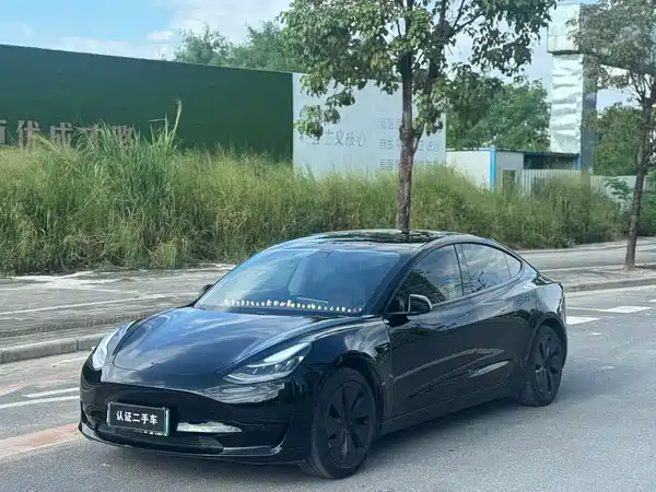 Tesla Model 3 2020