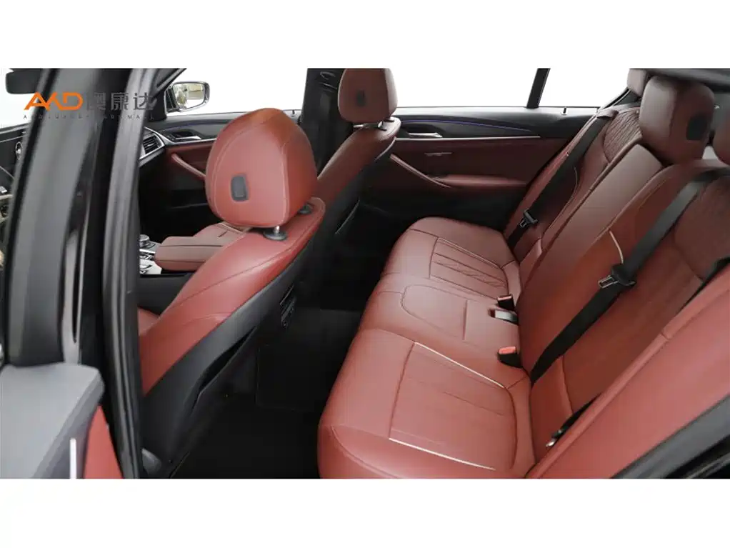 BMW 5 Series 2021