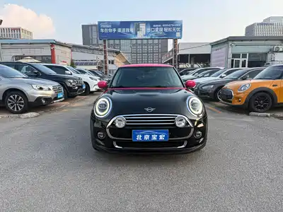 MINI MINI 2019