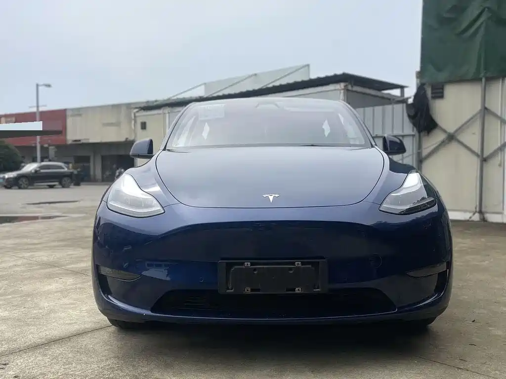 Tesla Model Y 2021 — фото 2