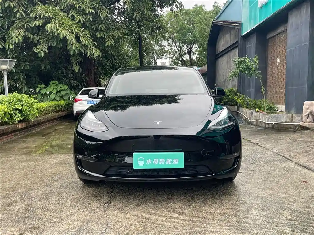 Tesla Model Y 2021