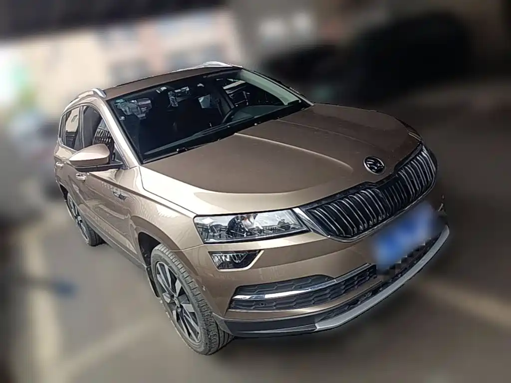 Skoda Karoq 2019 — фото 7