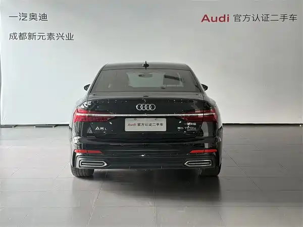 Audi A6L New Energy 2020